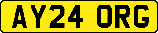 AY24ORG