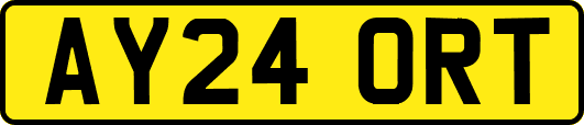 AY24ORT