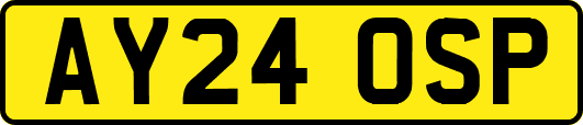 AY24OSP