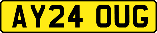 AY24OUG