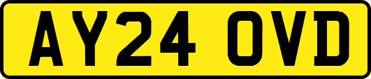 AY24OVD
