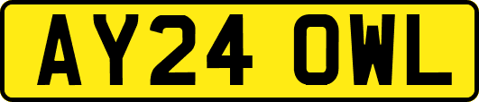 AY24OWL