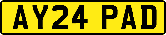AY24PAD
