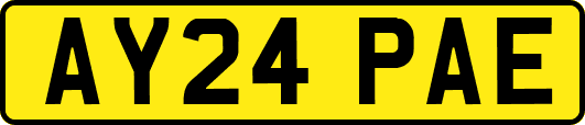 AY24PAE