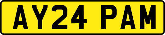 AY24PAM