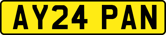 AY24PAN
