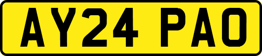 AY24PAO