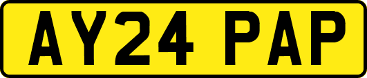AY24PAP