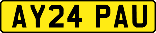 AY24PAU