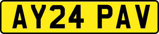 AY24PAV