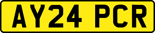 AY24PCR
