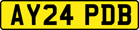 AY24PDB