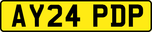 AY24PDP