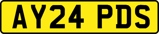 AY24PDS