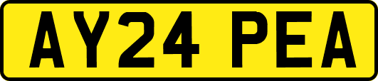 AY24PEA