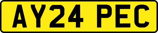 AY24PEC