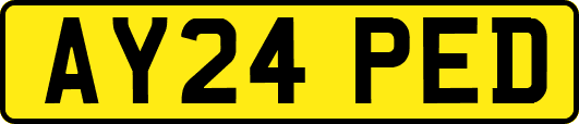 AY24PED