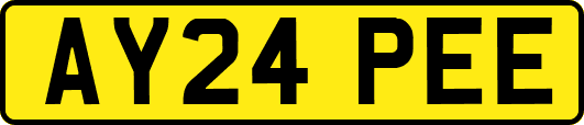 AY24PEE