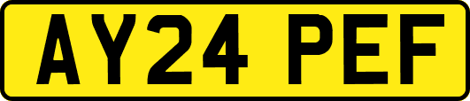 AY24PEF