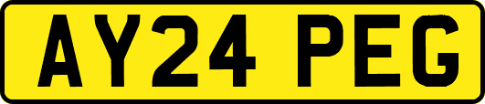 AY24PEG