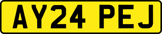 AY24PEJ