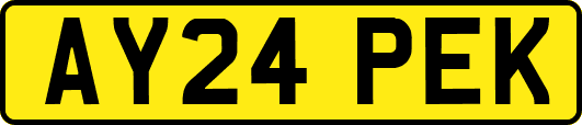 AY24PEK