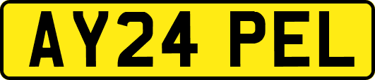 AY24PEL