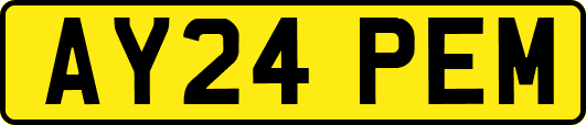 AY24PEM
