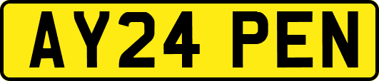 AY24PEN