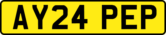 AY24PEP