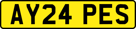AY24PES