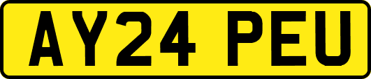 AY24PEU