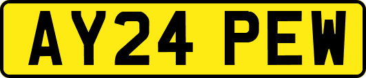 AY24PEW