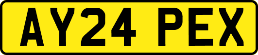 AY24PEX