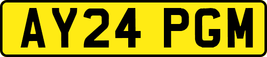 AY24PGM