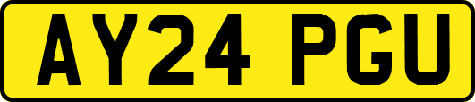 AY24PGU