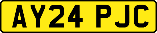 AY24PJC