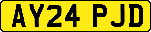 AY24PJD