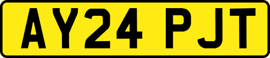 AY24PJT
