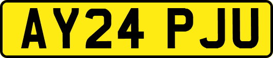 AY24PJU