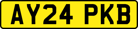 AY24PKB