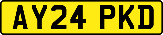 AY24PKD
