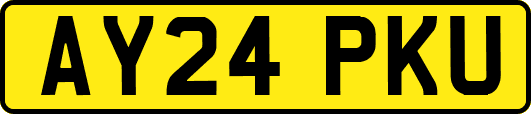 AY24PKU