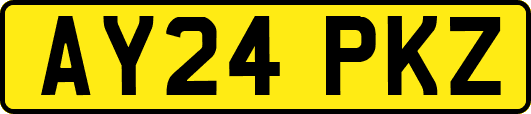 AY24PKZ