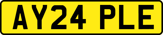 AY24PLE