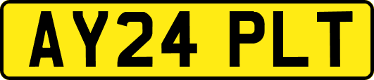 AY24PLT