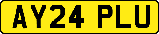 AY24PLU