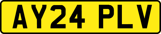 AY24PLV