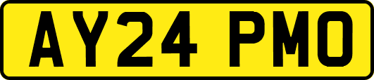 AY24PMO