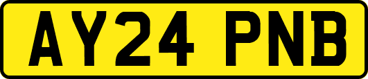 AY24PNB